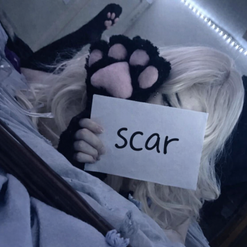 1bf5d3eb 5c97 4b9e b3b4 dd91cbe5c13f.png
