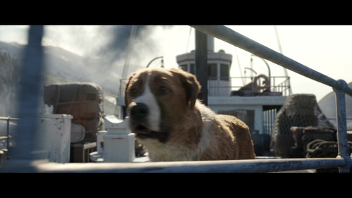 野性的呼唤.The.Call.of.the.Wild.2020.BluRay.1080p.x265.10bit.DTS HD.MA.7.1 UBits 001058.jpg
