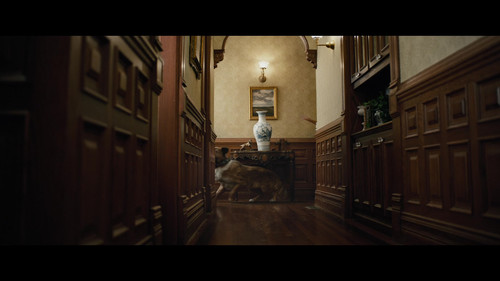 野性的呼唤.The.Call.of.the.Wild.2020.BluRay.1080p.x265.10bit.DTS HD.MA.7.1 UBits 000259.jpg