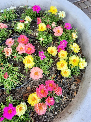 71MLEMWkf4L. SL1280 .jpg