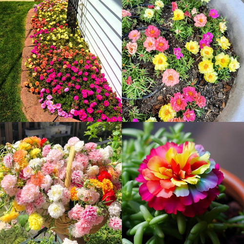 81WC2gjY0YL. SL1280 .jpg