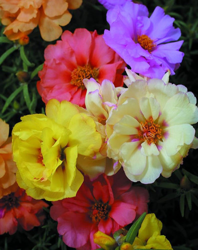 61UFI8g3AlL. SL1280 .jpg