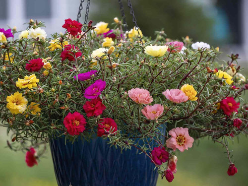 71P0uO4xcZL. SL1500 .jpg