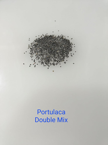 71LIUyt3dWL. SL1500 .jpg