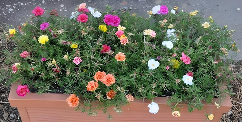 81ZUB9aBLbL. SL1500 .jpg