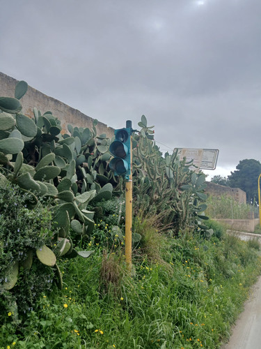 SS115 VIA VAL DI NOTO (6).jpg