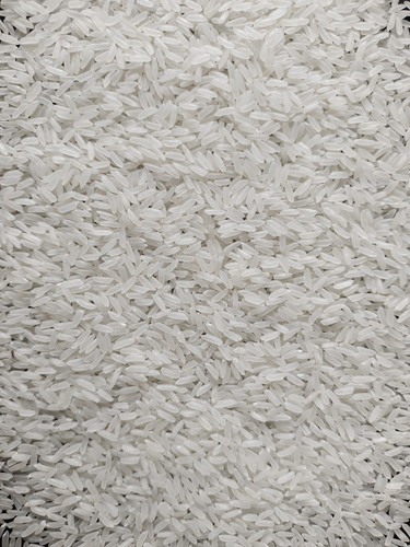 premium kolam.jpg