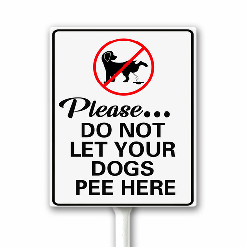 pp 1 35.jpg