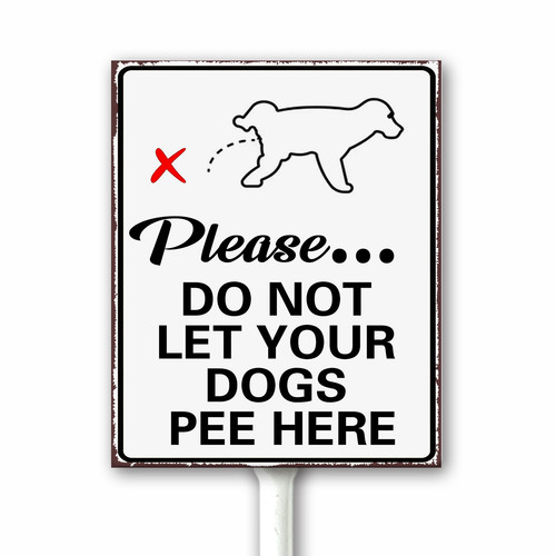 pp 1 55.jpg