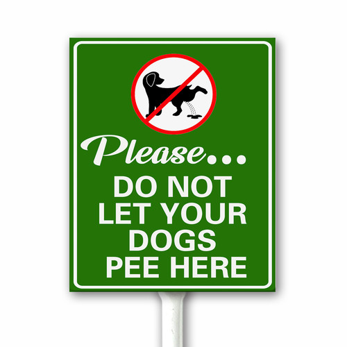 pp 1 45.jpg