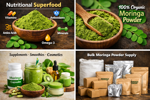 Moringa Powder Manufacturer Supplying High Quality Bulk Moringa Powder Worldwide.png