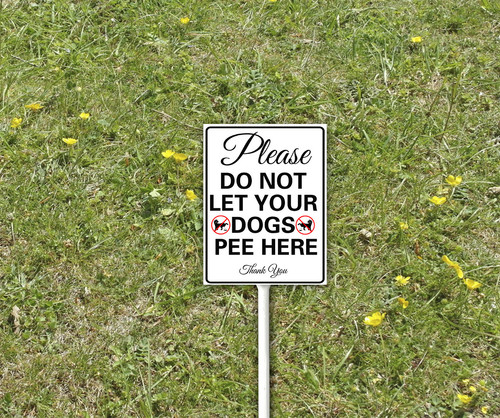 pp 2 25.jpg
