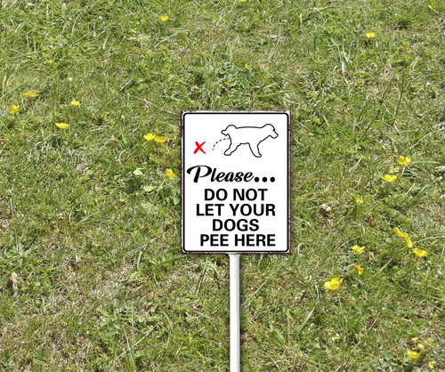 pp 2 55.jpg