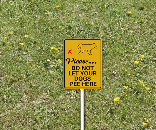 pp 2 65.jpg