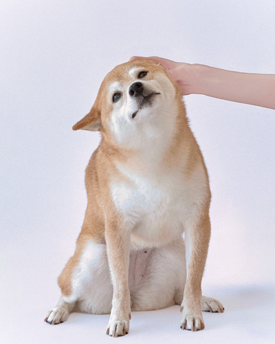 20260215 102429 DUxmzytk4pa 05.jpg