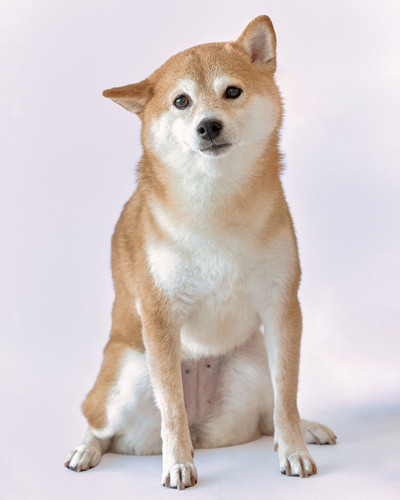 20260215 102429 DUxmzytk4pa 07.jpg