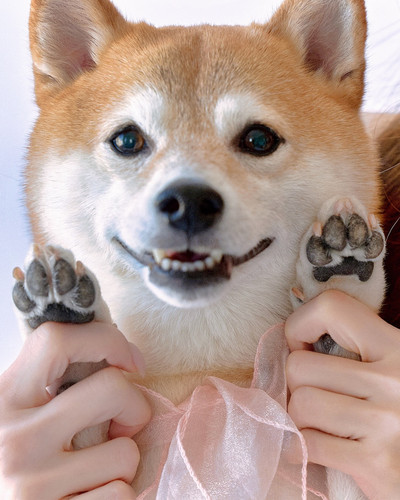 20260215 102429 DUxmzytk4pa 03.jpg