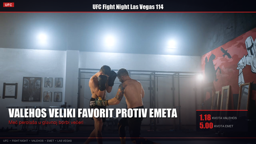 ufc header.png