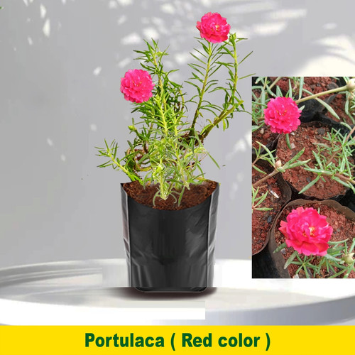 45b129ec 55d8 4740 8951 018e5a8ae92d.jpg