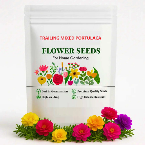 Portulaca Grandiflora Double Mix.jpg