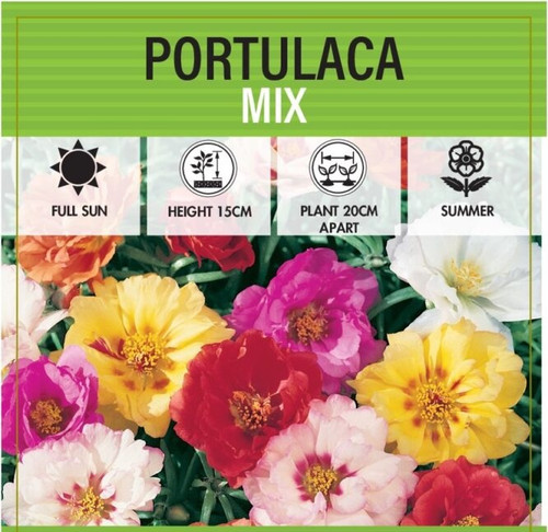 Trailing Mix Moss Rose 7.jpg