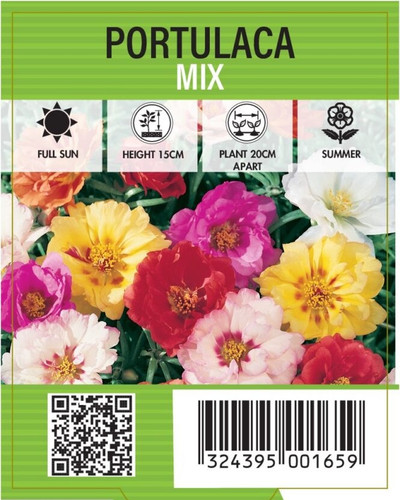 Trailing Mix Moss Rose 6.jpg