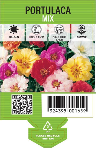 Trailing Mix Moss Rose 5.jpg