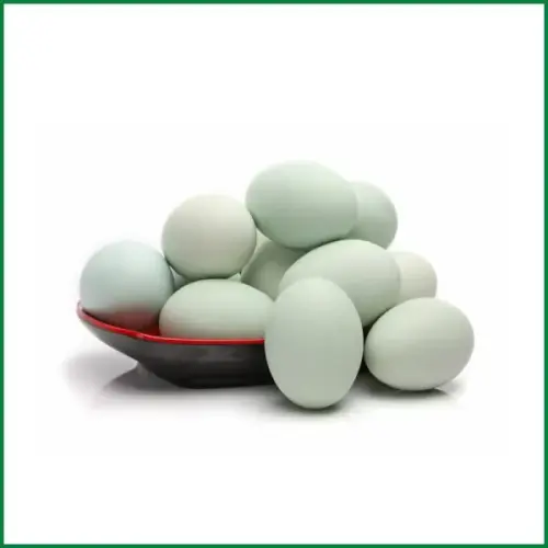 duck egg 600x600.webp