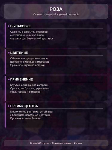 120618e63b8e.png