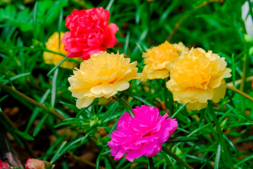 61cfWGm HRL. SL1280 .jpg