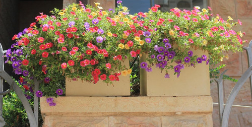 71uX0WX2HLL. SL1280 .jpg