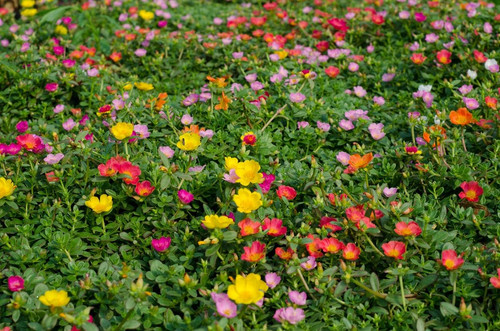 71jPOuzkNIL. SL1300 .jpg