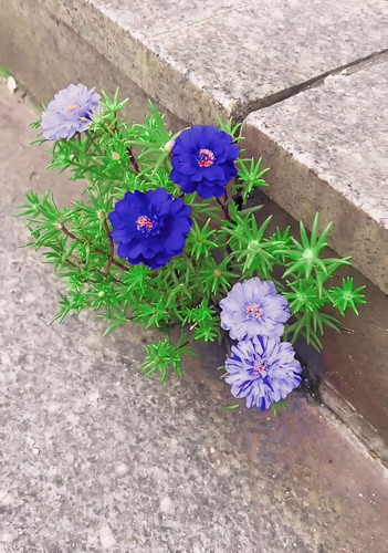 81YWyNfJwxL. SL1500 .jpg