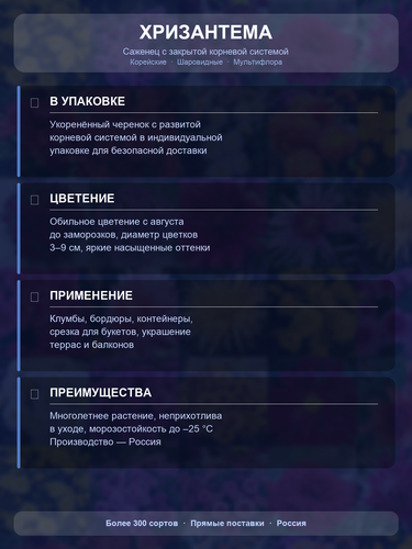 a53aecf5889f.png