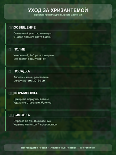 abf9053ffd1b.png