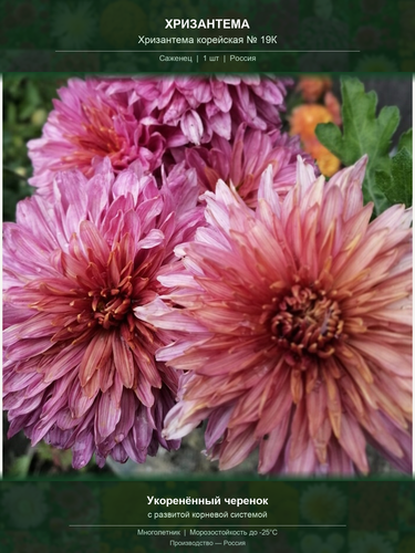 452b540c8543.png