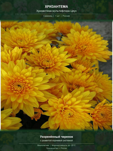 93aa0f61561b.png