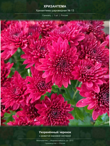 883032ef77d9.png