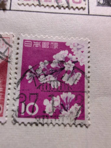 d17cd9058755.jpg