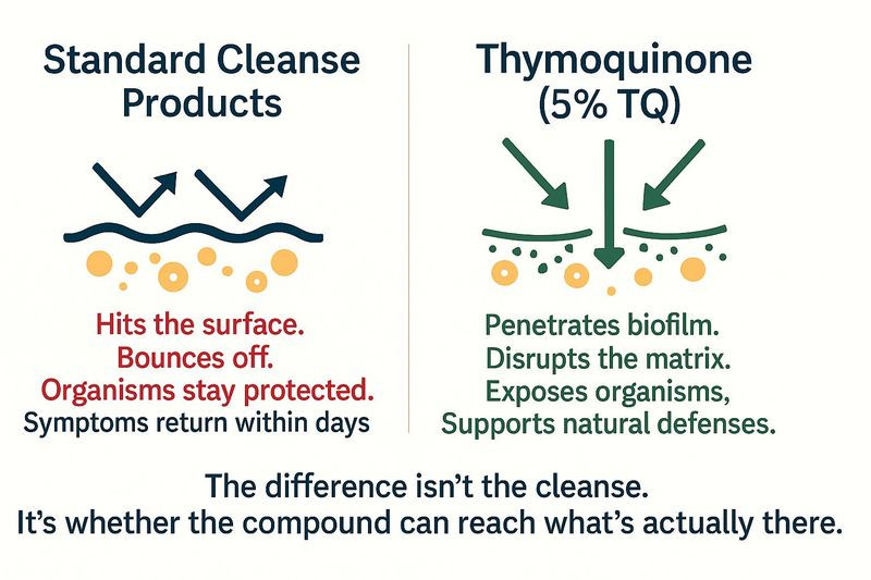 Standard cleanse products vs Thymoquinone comparison