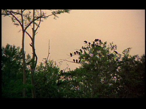 vlcsnap 2026 03 12 14h07m28s702.png