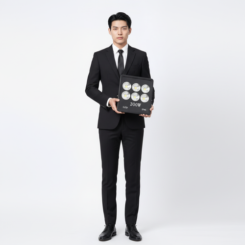 den pha led Philips ly 200w (1).png
