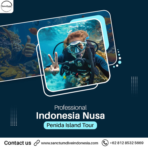 Professional Indonesia – Nusa Penida Island Tour.jpg