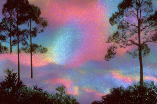 beepboop VAPORWAVE DOOM FOREST ar 32 raw profile bz2a7b 8b13740f 1546 4462 99d2 a136c4b16032 1.png