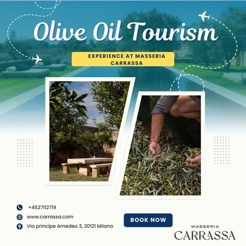 Olive Oil Tourism.jpg