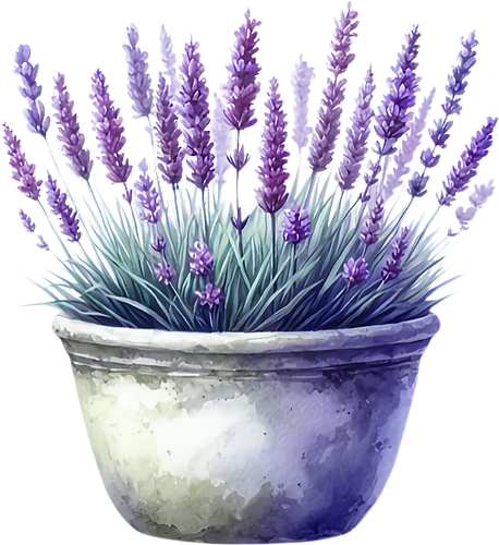 elements EF (12).png