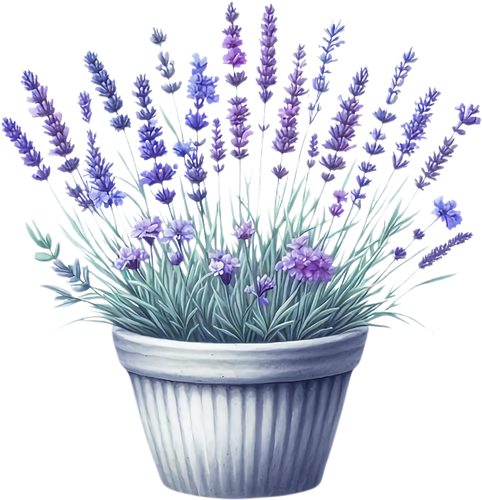 elements EF (50).png