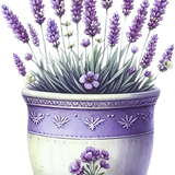 elements EF (47).png