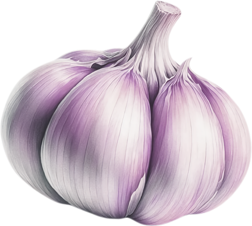 elements EF (48).png