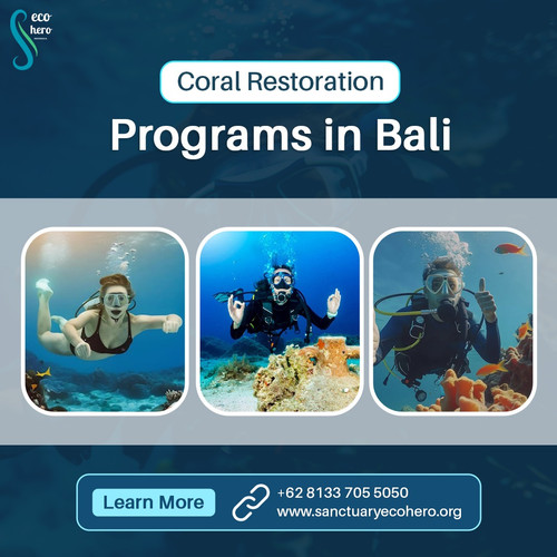 Coral Restoration Programs in Bali.jpg